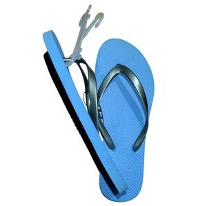 West Loop Blue Sandals